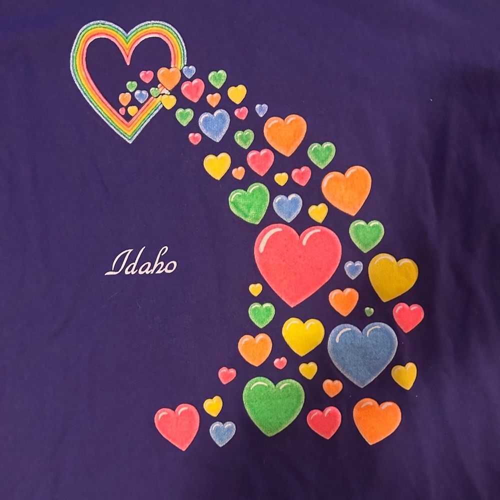 Vintage 80s 90s Idaho Heart Rainbow Single Stitch Preppy T Shirt Adult XL - Picture 3 of 9